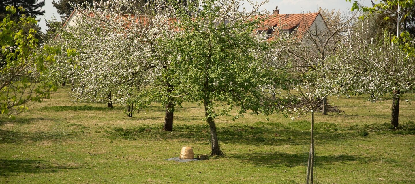 Agro ecology