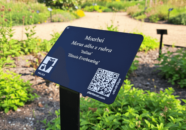 Plant labels for public green spaces