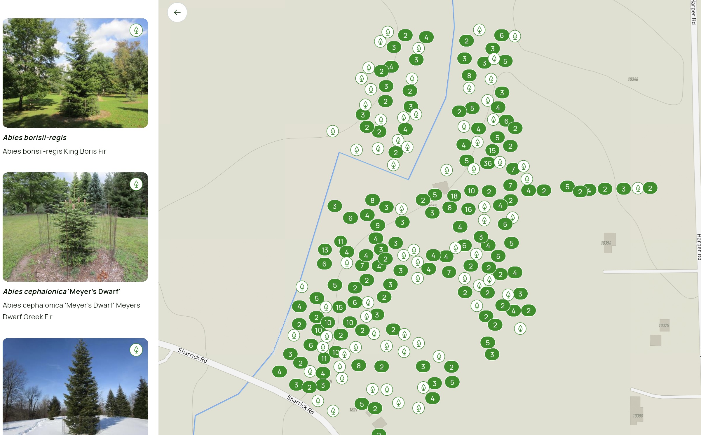 Showcase your public green space