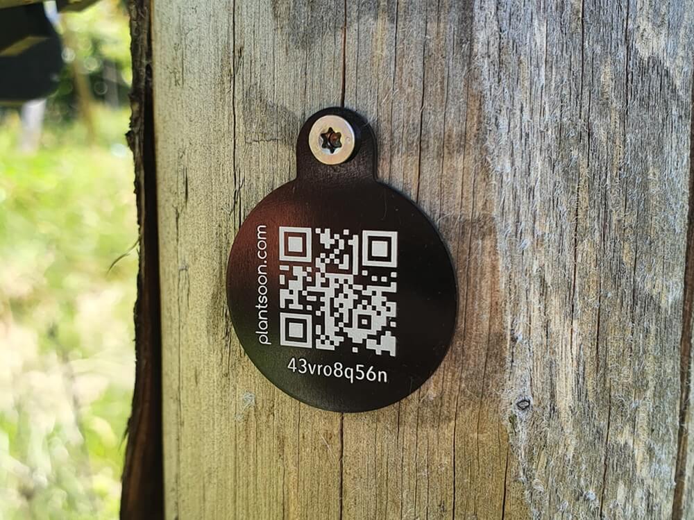 Tree tags