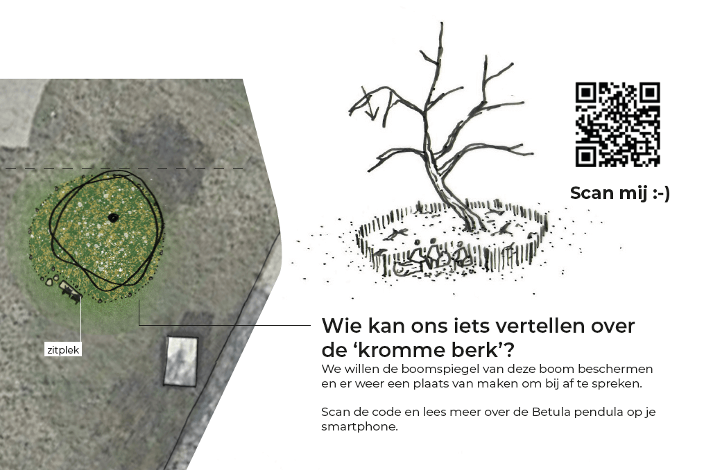De 'kromme berk' is de eerste identificeerbare boom van de HOGENT