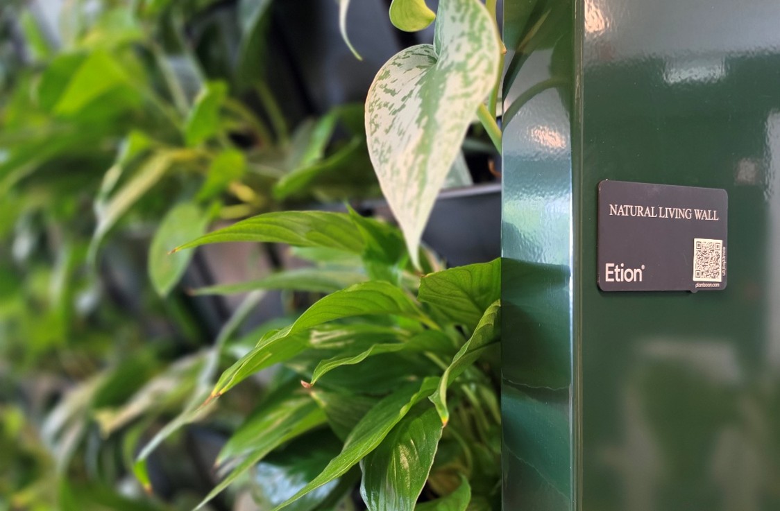 Natural living wall with Plantsoon label