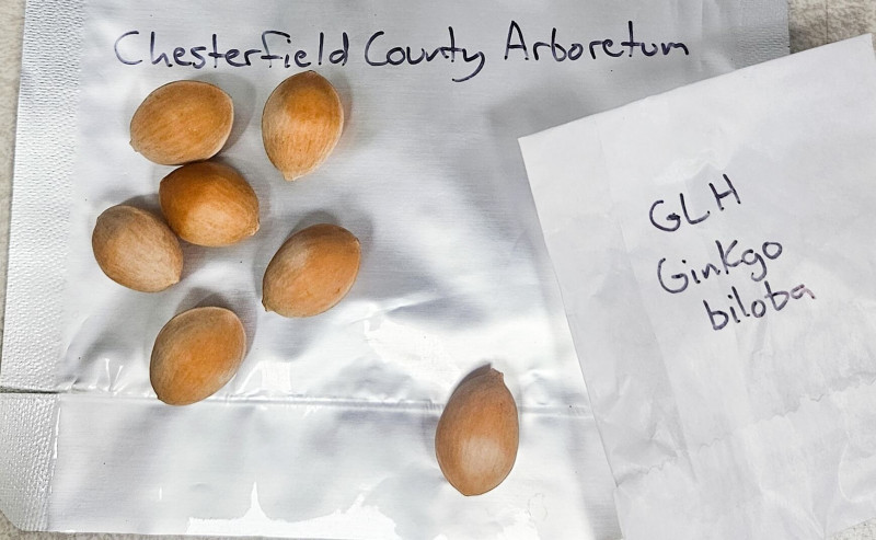 Seeds of survival — and labels you can design yourself