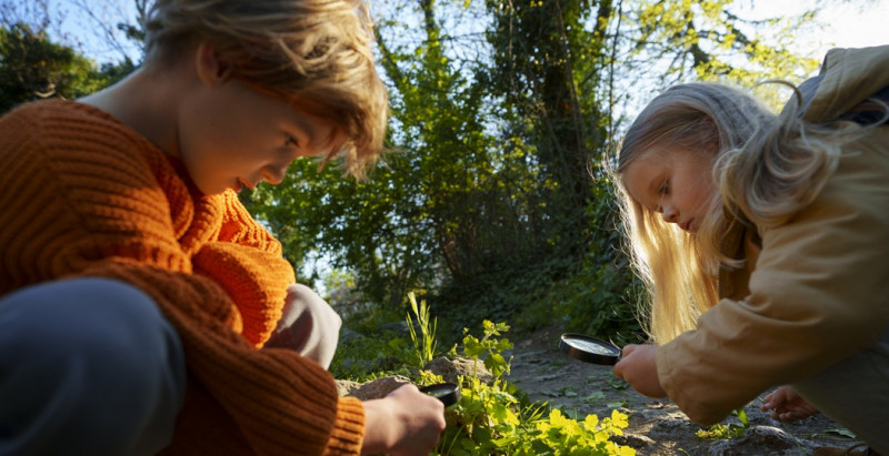 A greener schoolyard is where learning begins