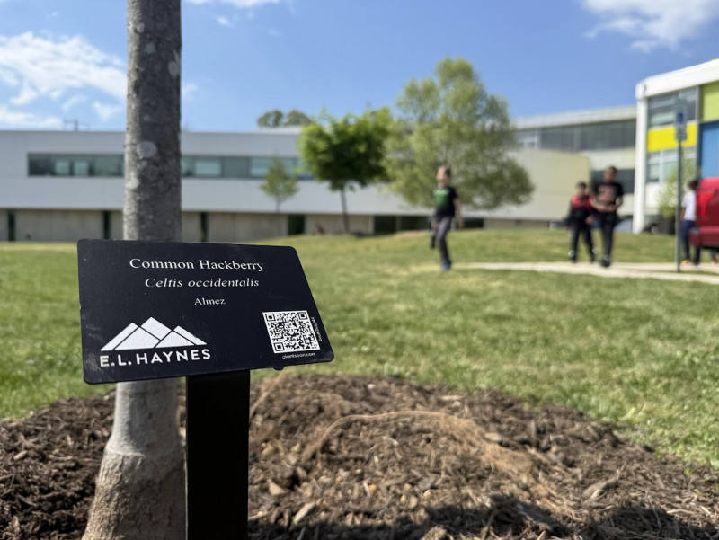 A PreK-12 school just became D.C.'s newest arboretum