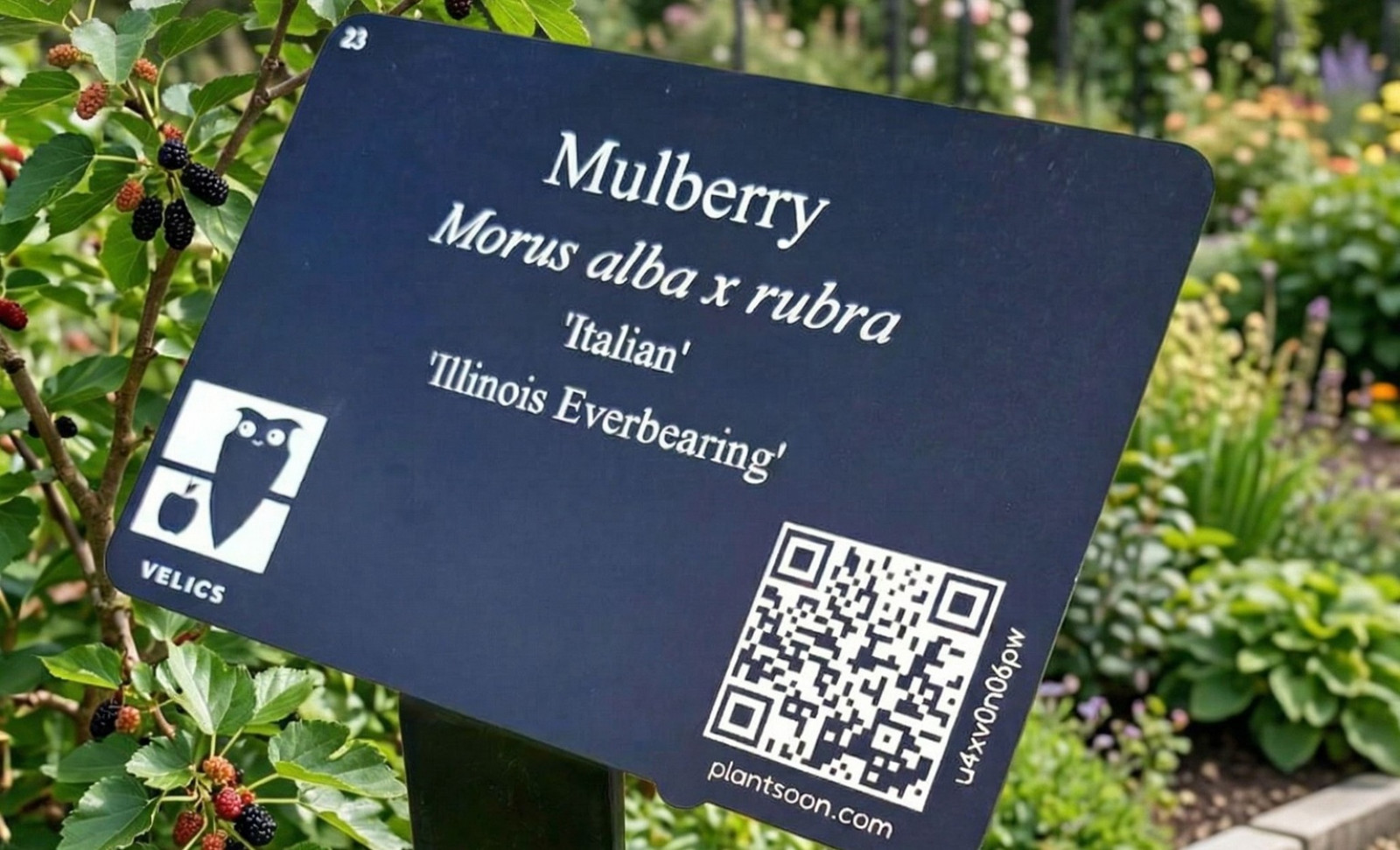 From sign to experience: how interactive plant labels turn visitors into returning guests