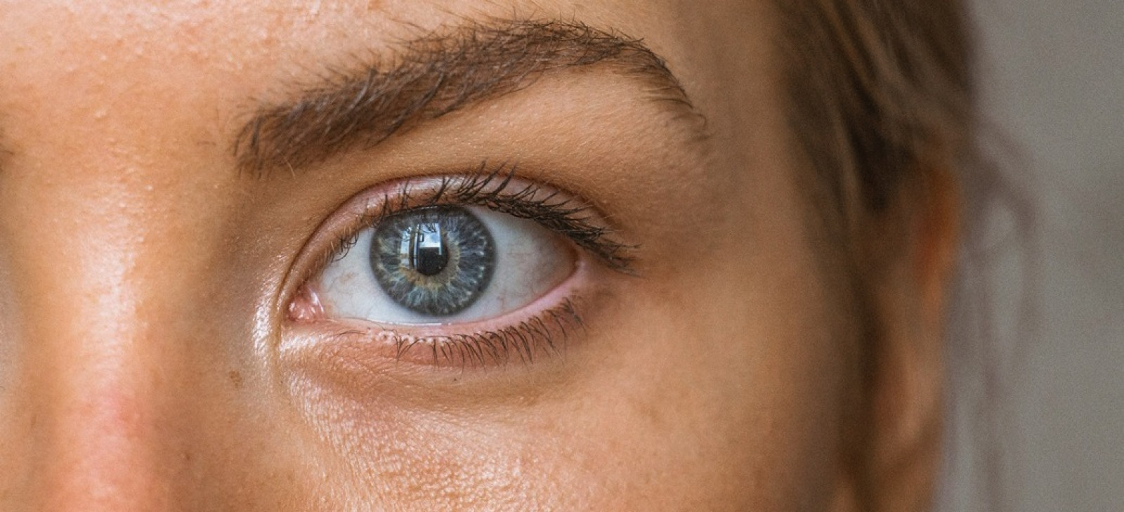 Why visitors don't read your signs